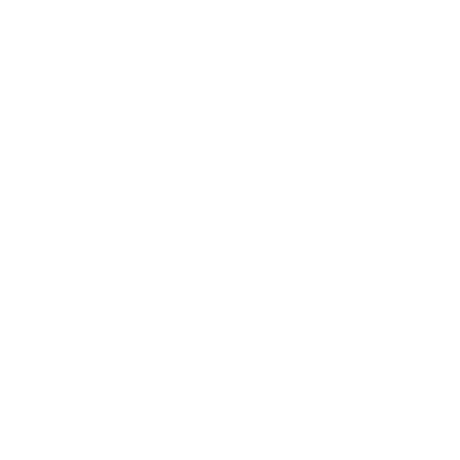 Steps-3 : We Inspect Your Vehicle